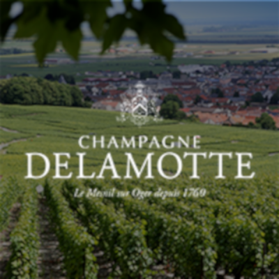 champagne-delamotte